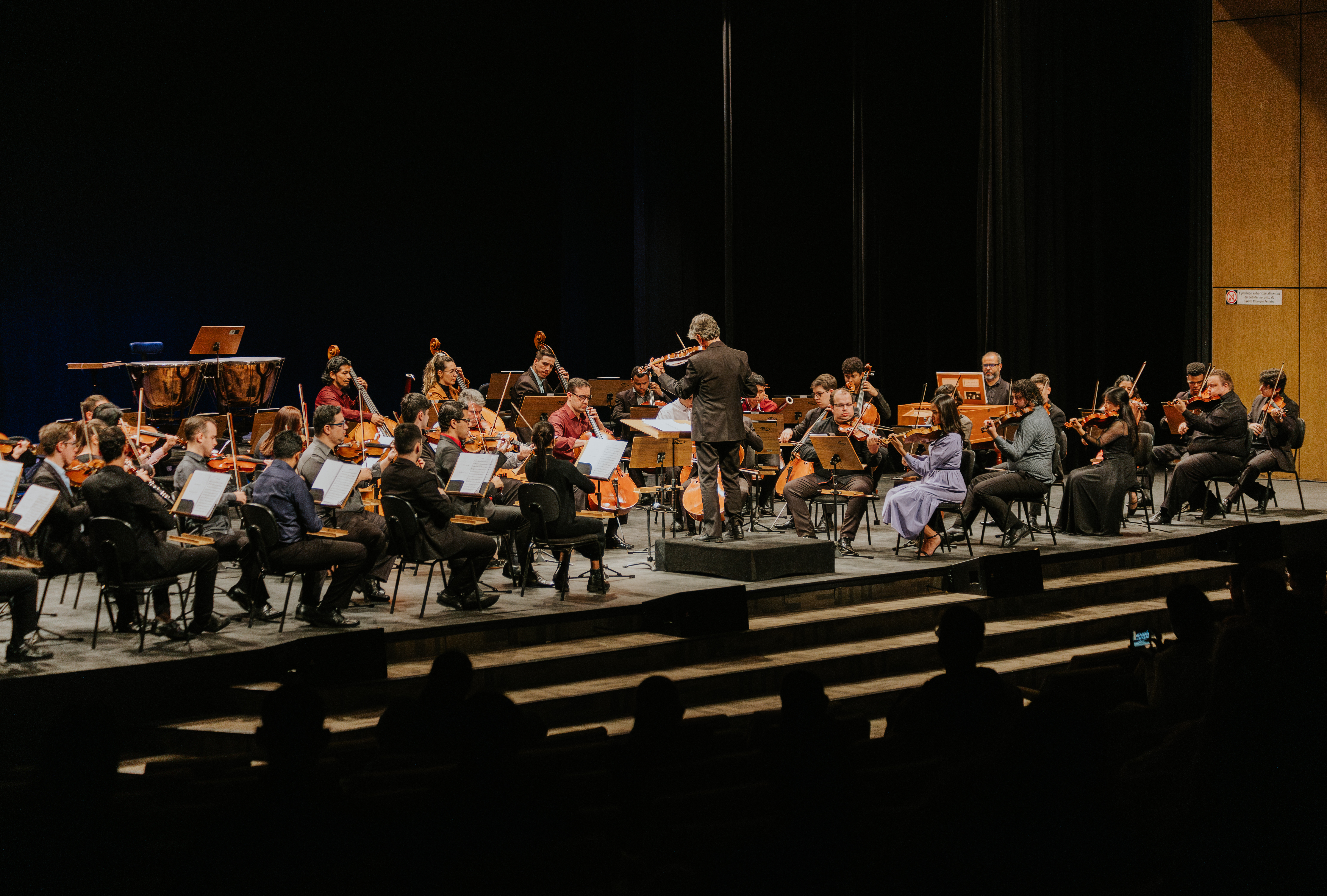 Imagem do evento Concerto: Orquestra Sinfônica do Conservatório de Tatuí e convidados(as)